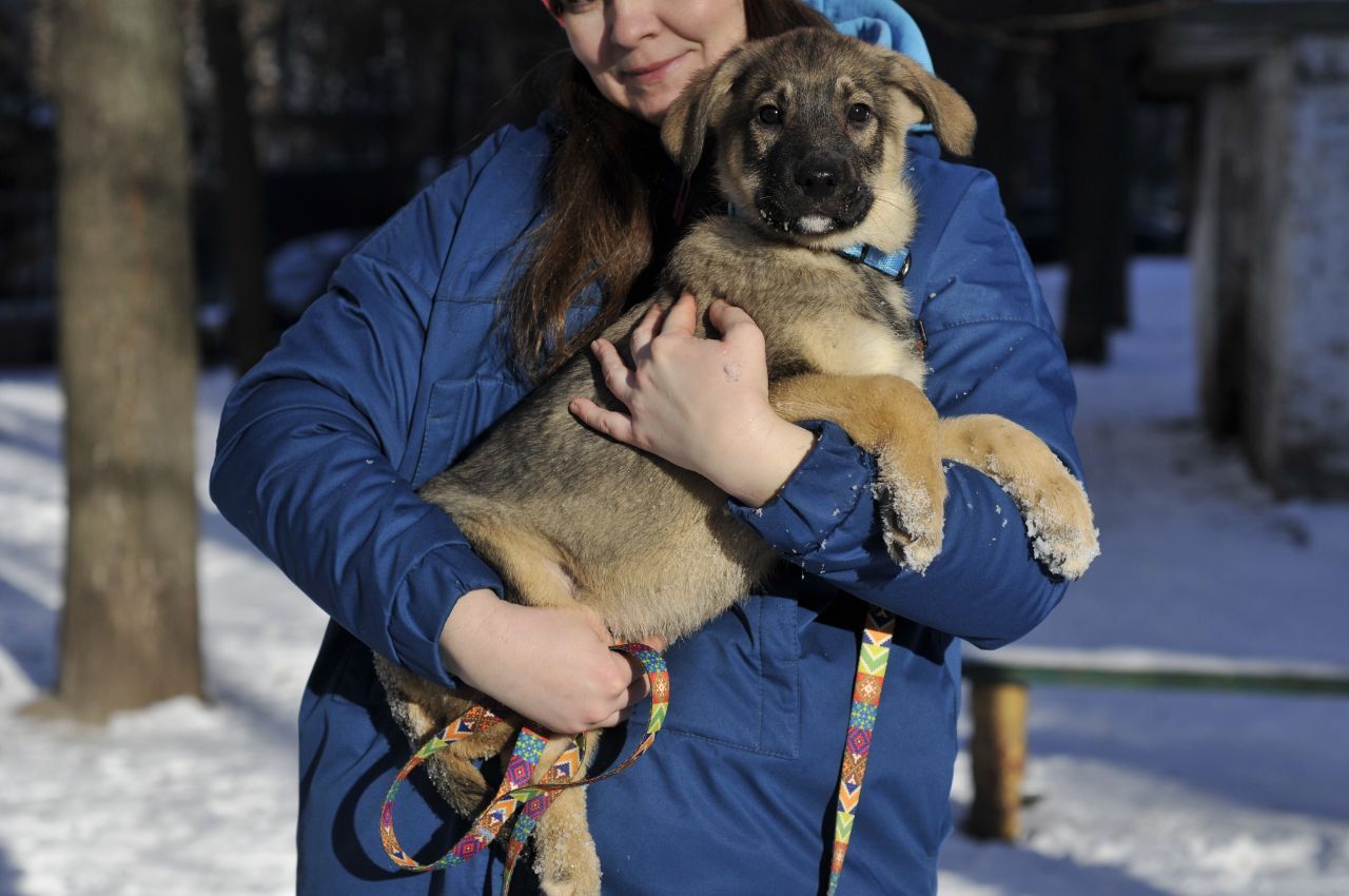 Маленький Тео в пошуках родини