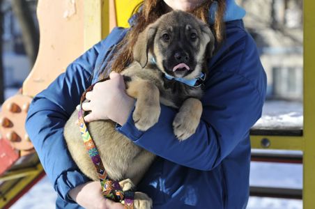 Маленький Тео в пошуках родини