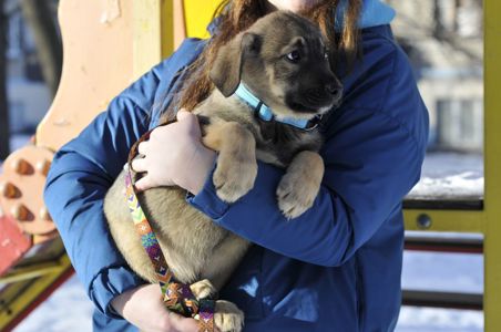Маленький Тео в пошуках родини