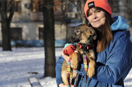 Цуценя Бейлі шукає родину