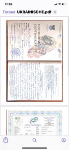 Цуценята Джек Расел Терьер