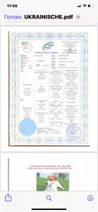 Цуценята Джек Расел Терьер