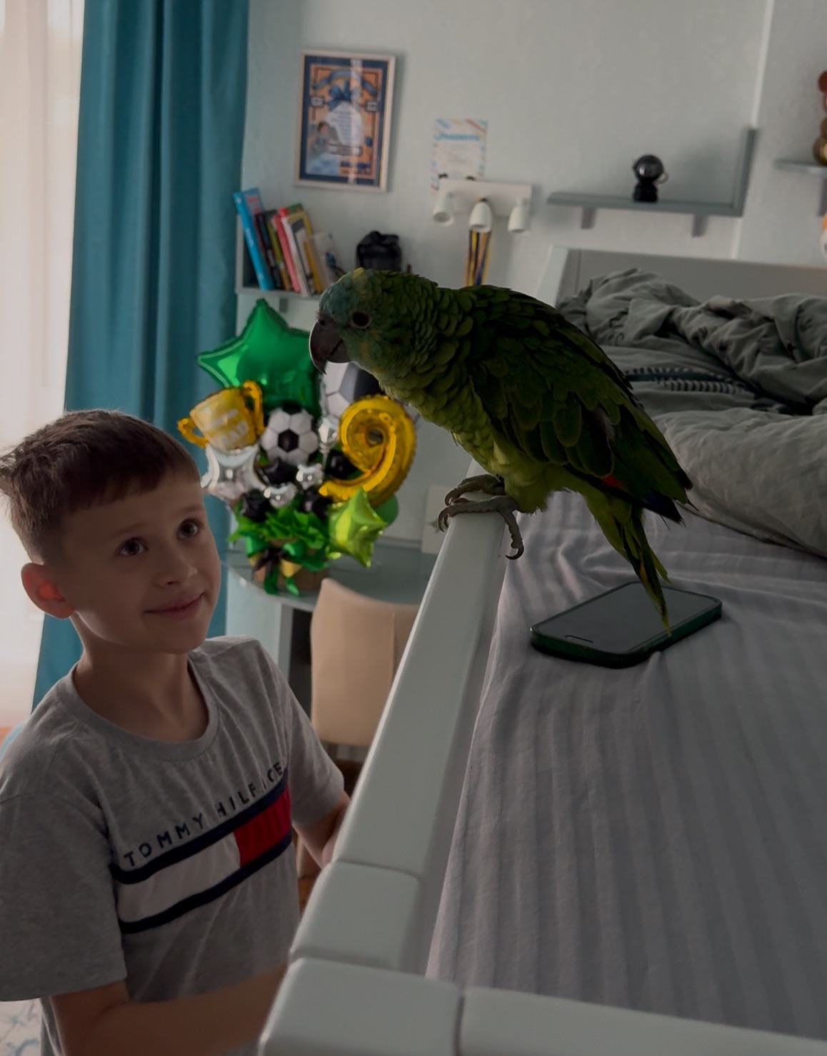 Продам папугу Амазон