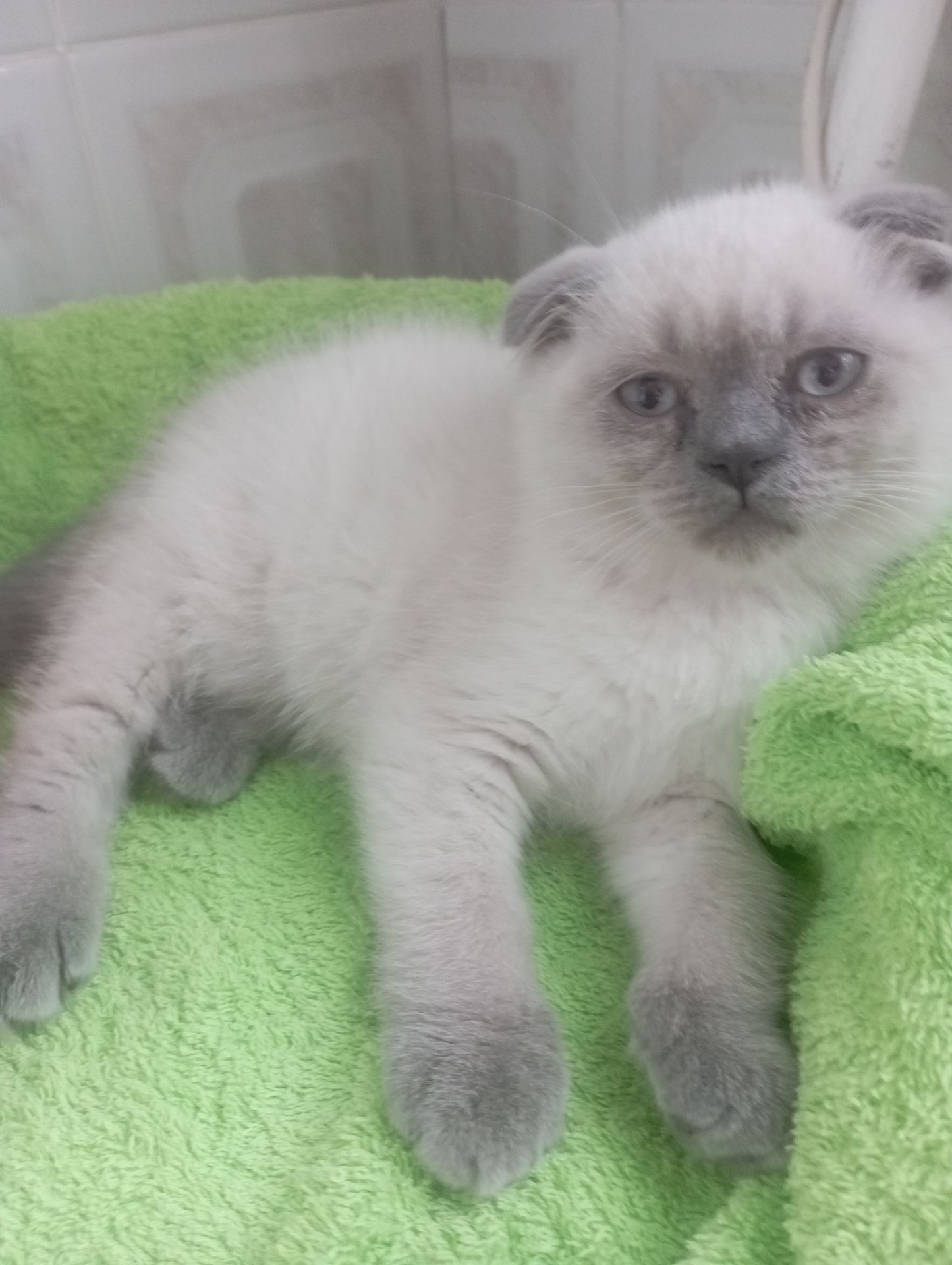 Найкращі дівчинка та Хлопчик ждуть свою родину люблячу