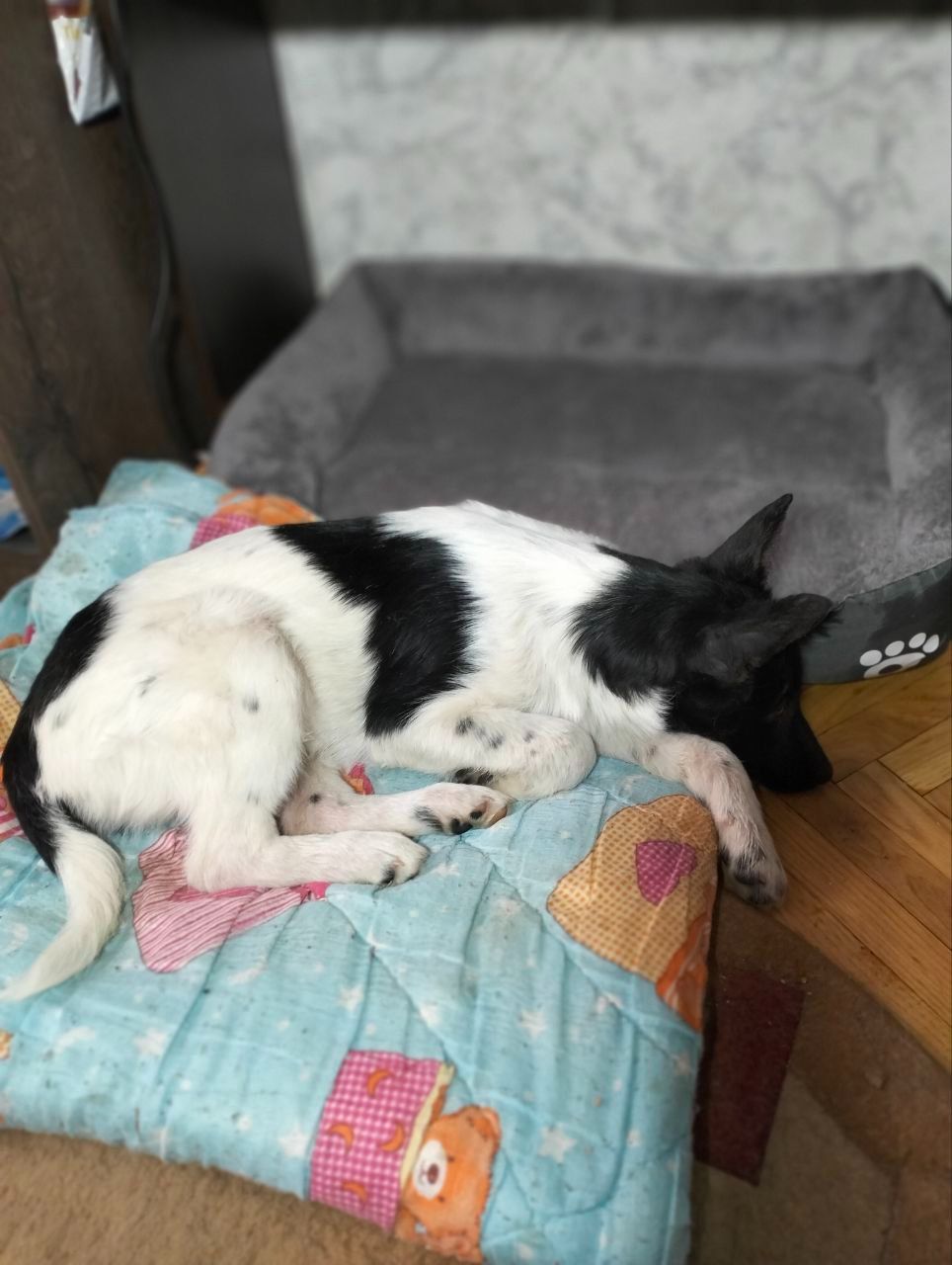 Дівчинка 3,5 місяці