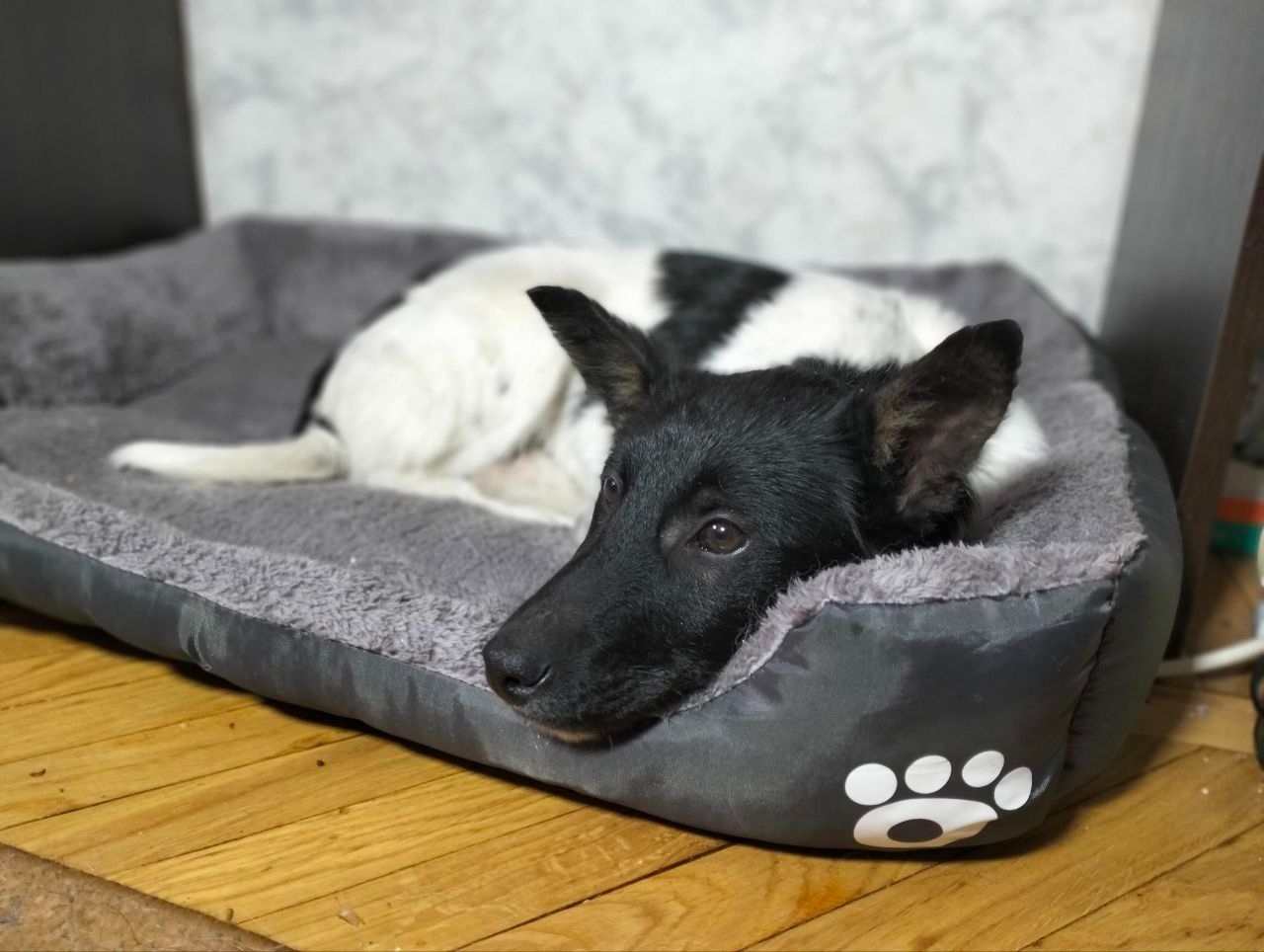 Дівчинка 3,5 місяці