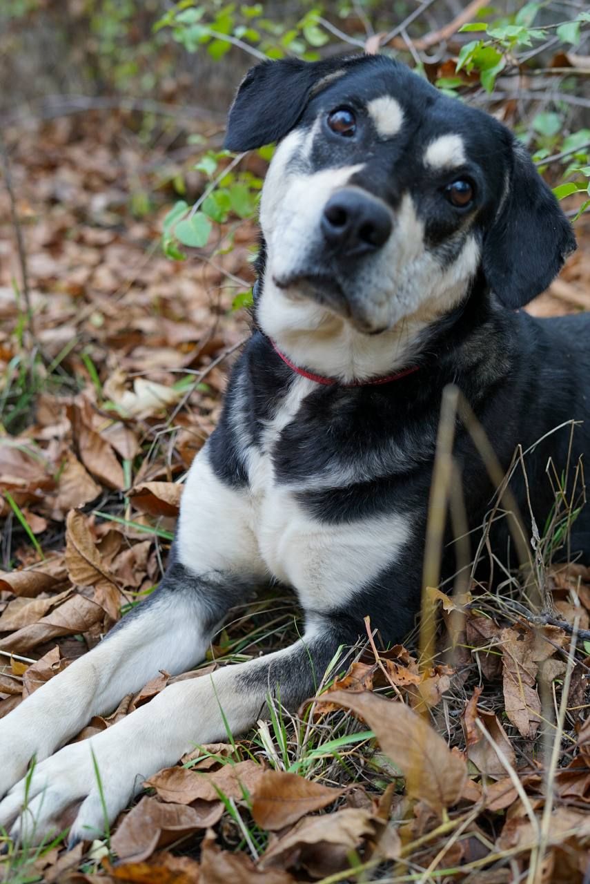 Тео шукає родину