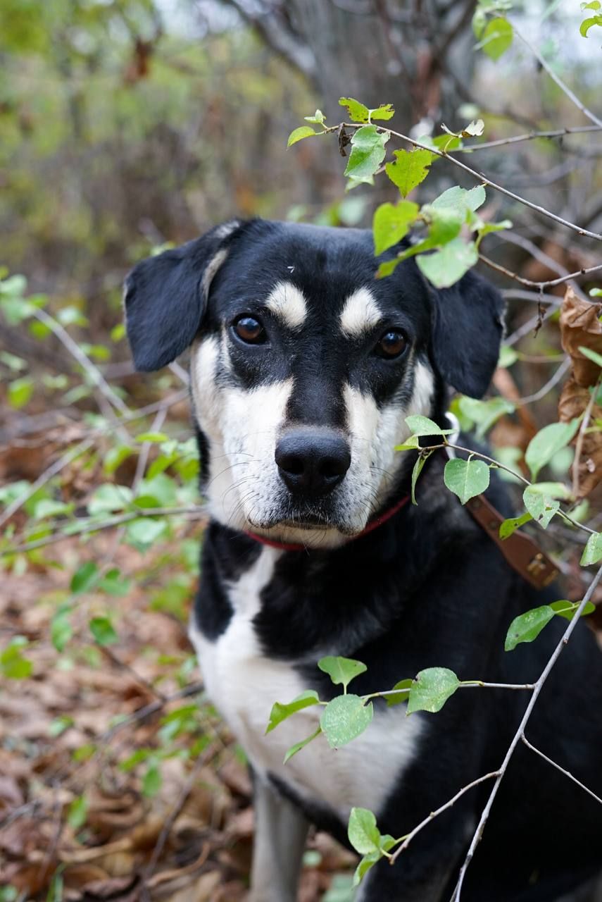 Тео шукає родину