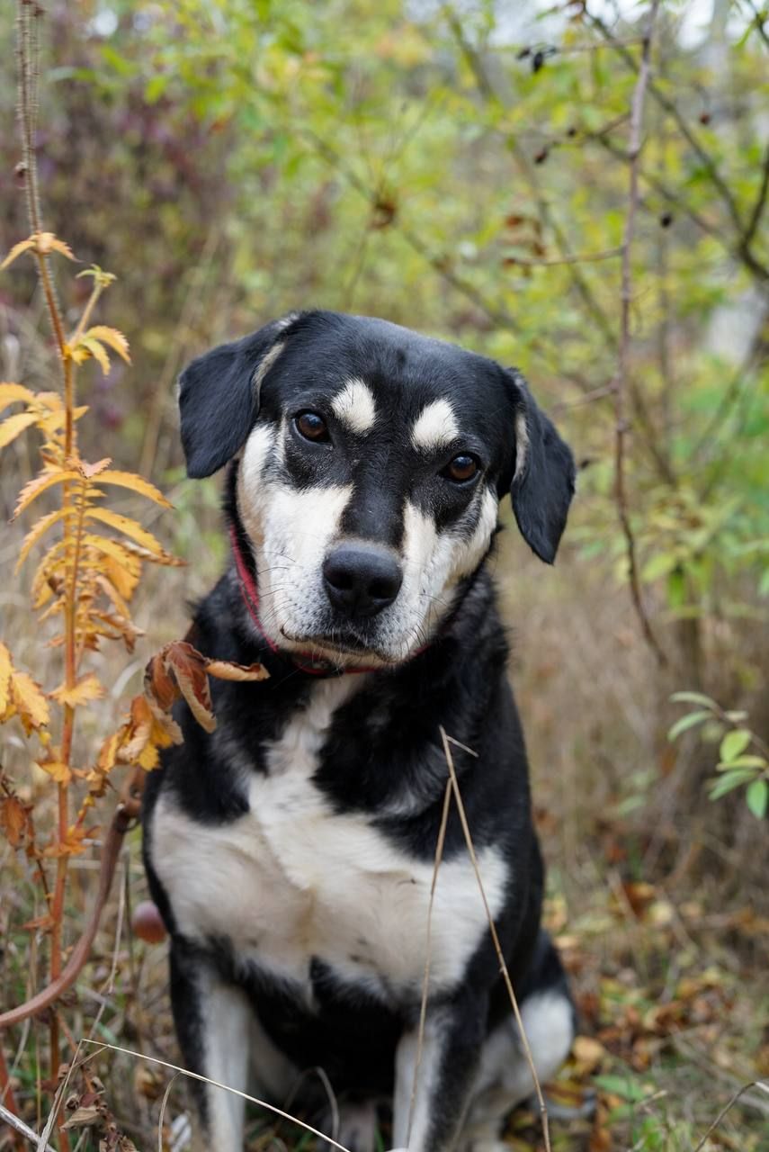 Тео шукає родину