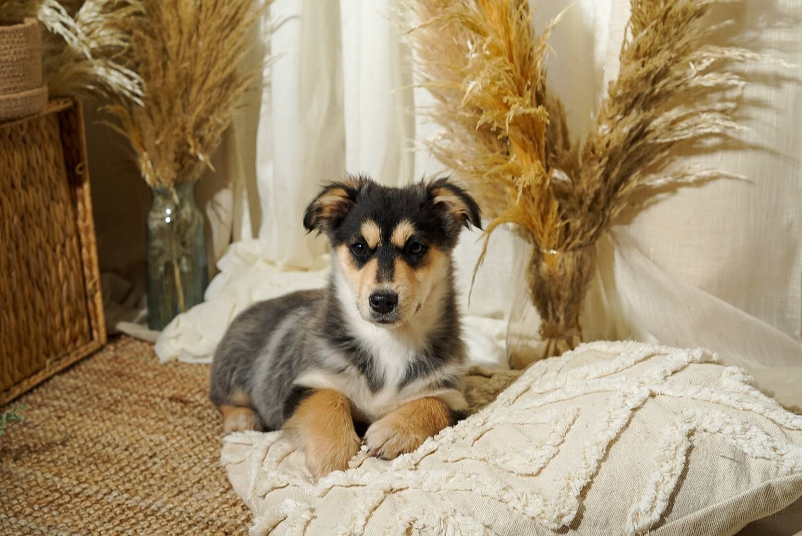 Еріка шукає родину