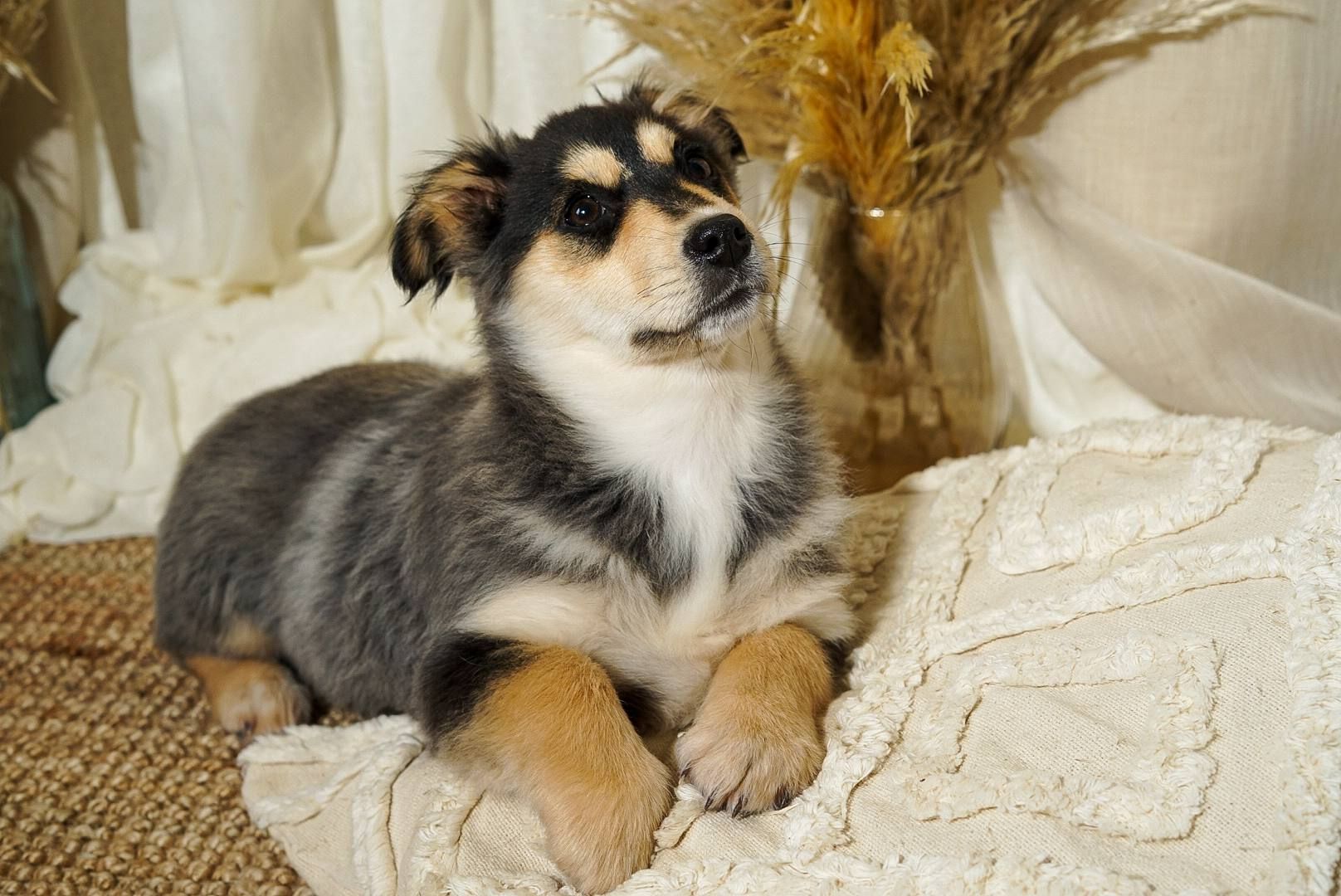 Еріка шукає родину