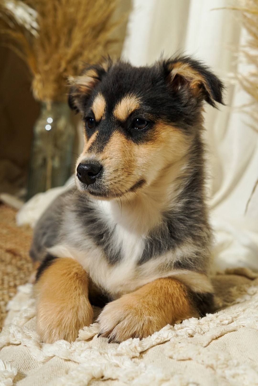 Еріка шукає родину