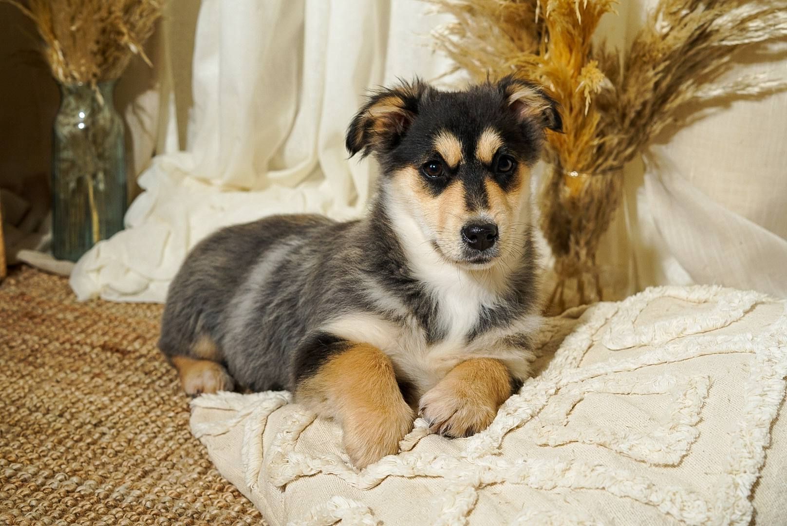 Еріка шукає родину