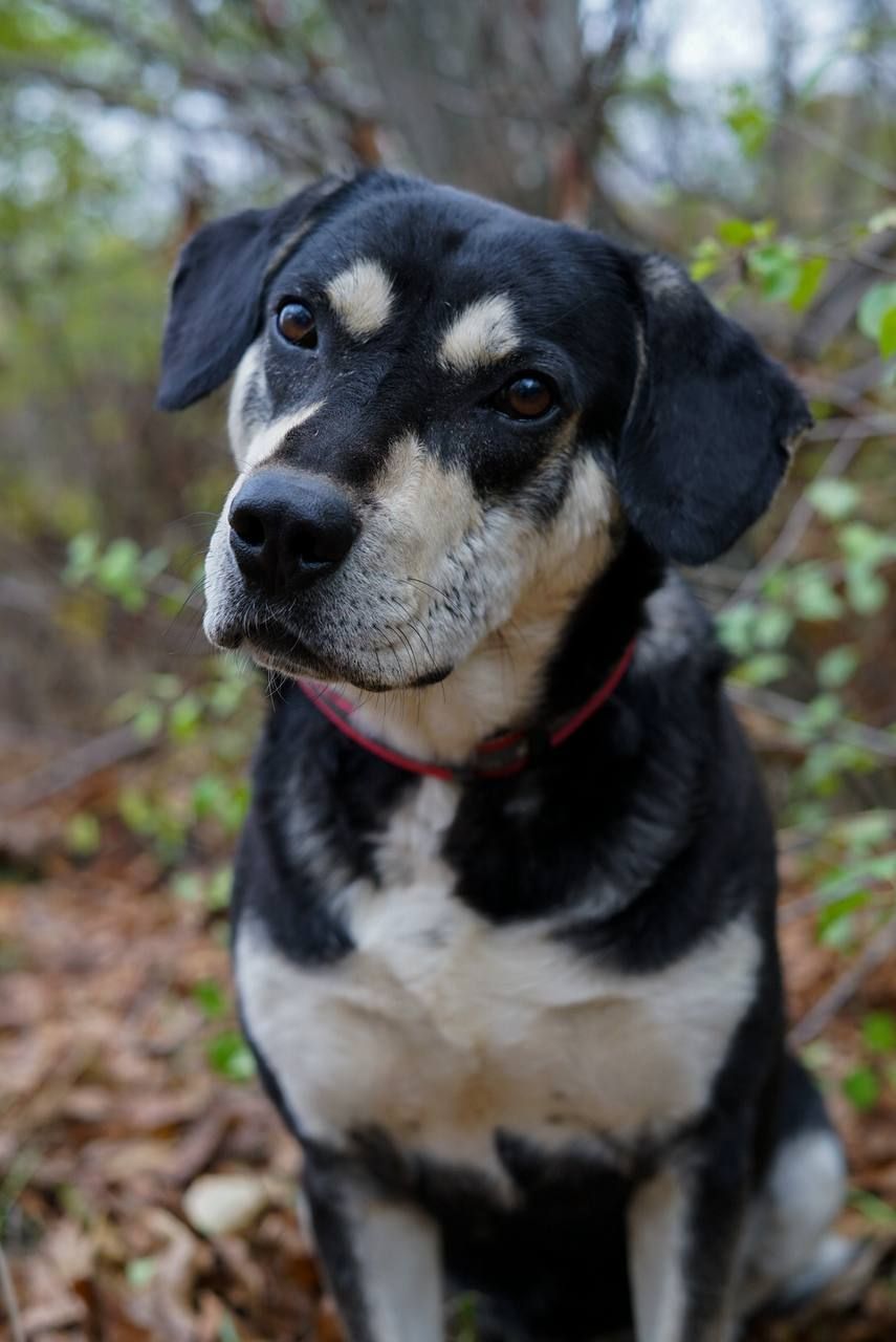 Тео шукає родину