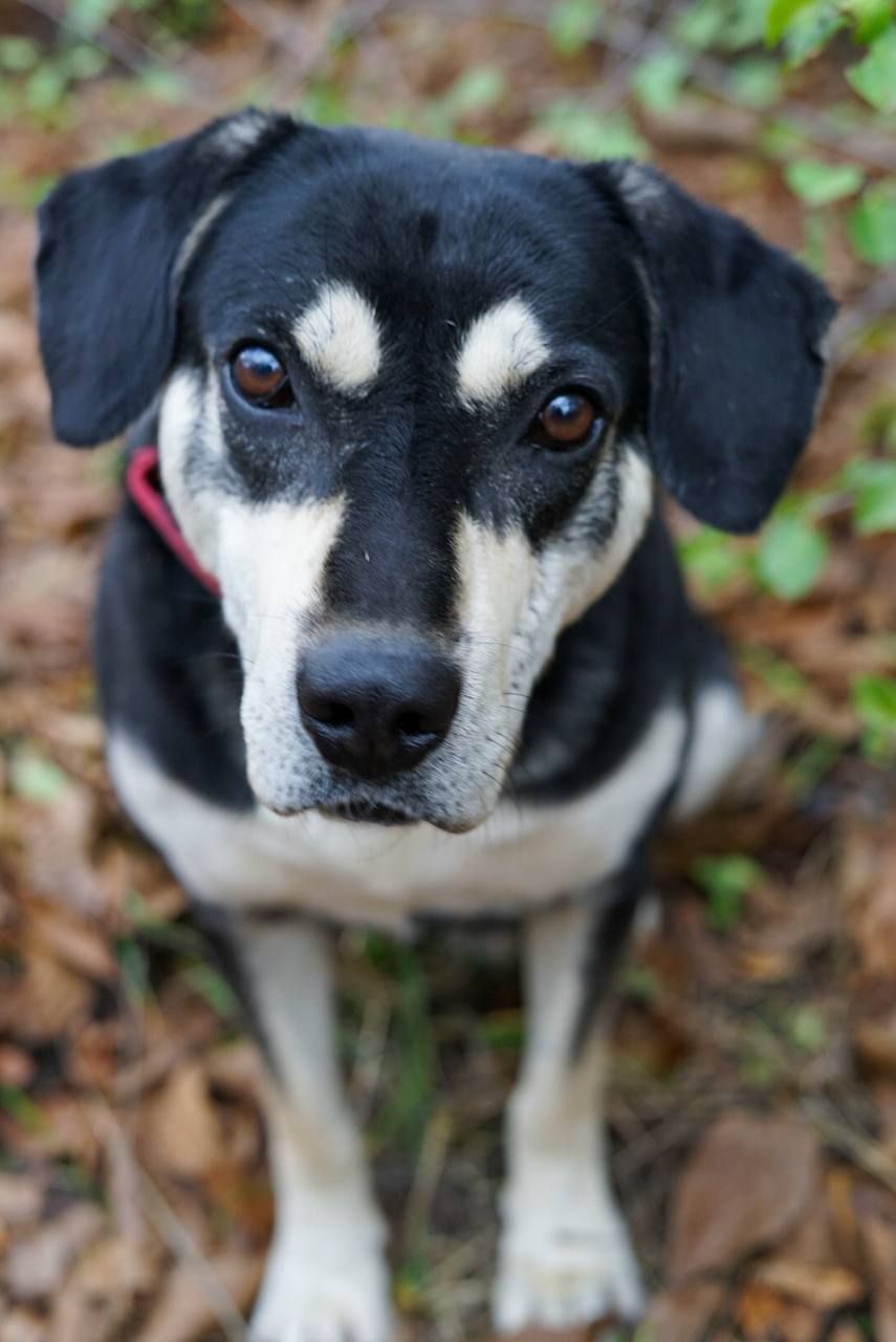 Тео шукає родину