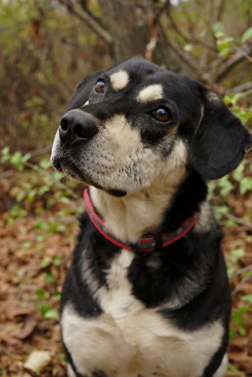 Тео шукає родину