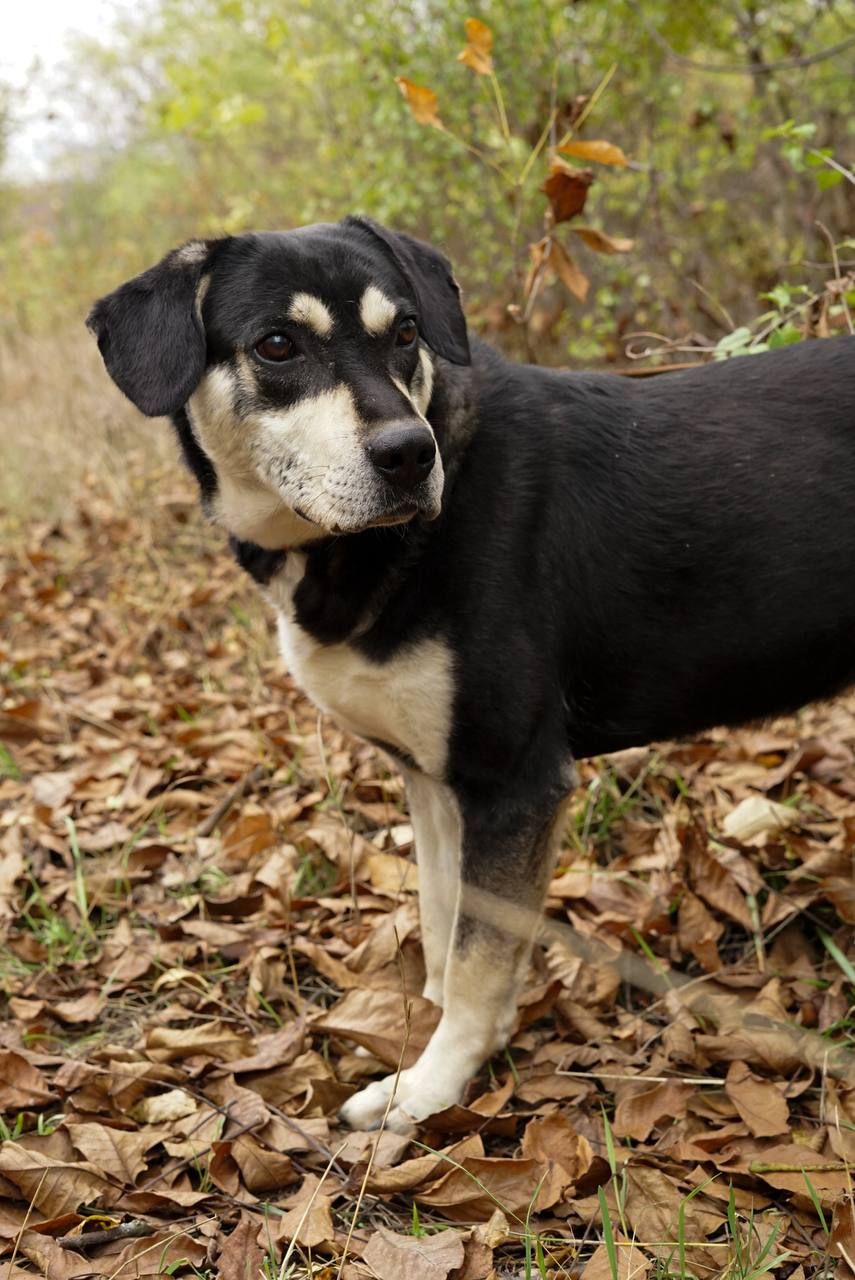 Тео шукає родину