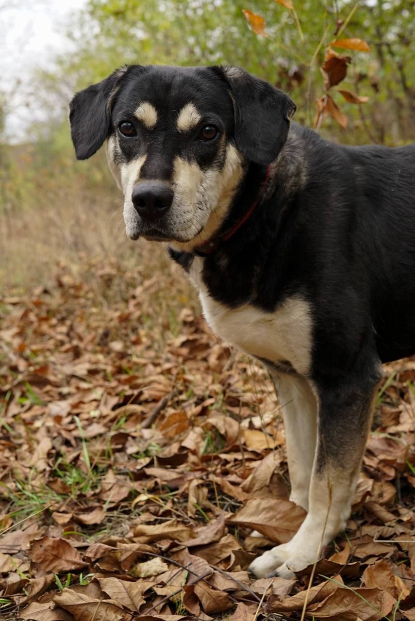 Тео шукає родину