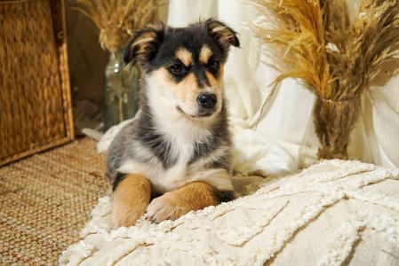 Еріка шукає родину