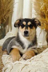 Еріка шукає родину