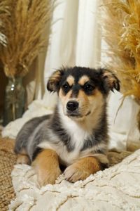 Еріка шукає родину