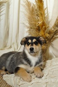 Еріка шукає родину