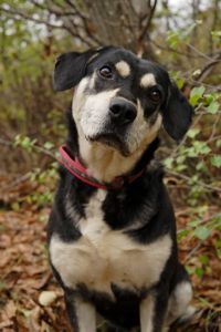 Тео шукає родину