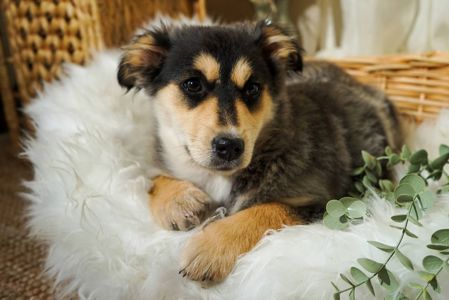 Еріка шукає родину