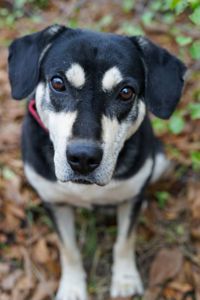 Тео шукає родину