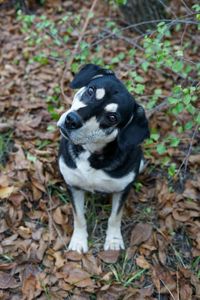 Тео шукає родину