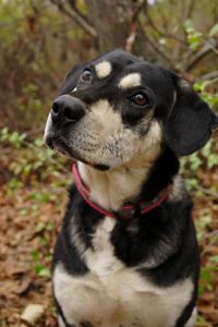 Тео шукає родину