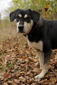 Тео шукає родину