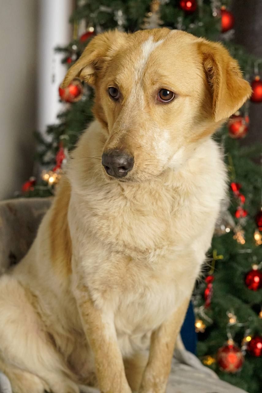 Зара шукає родину