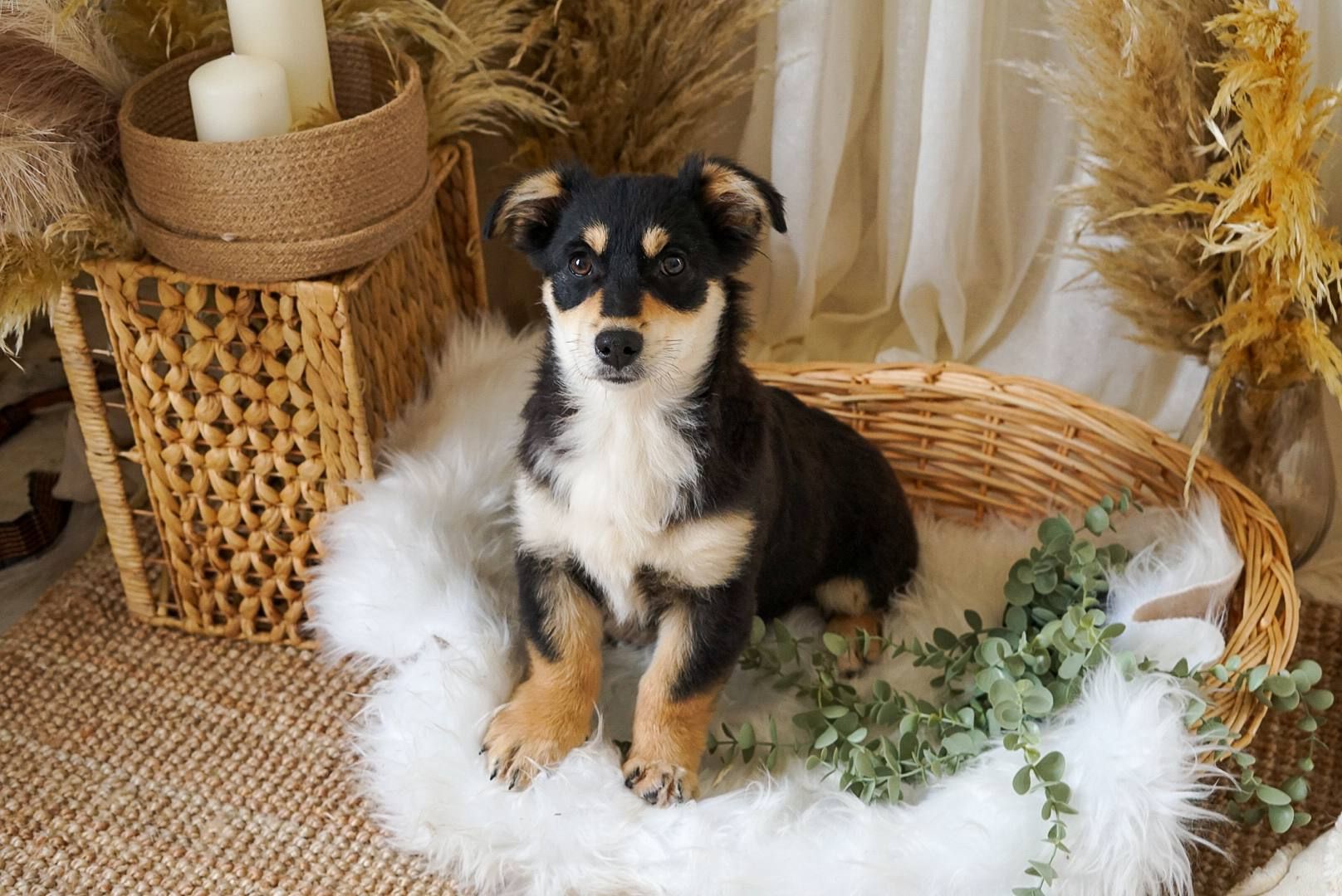 Кай шукає родину