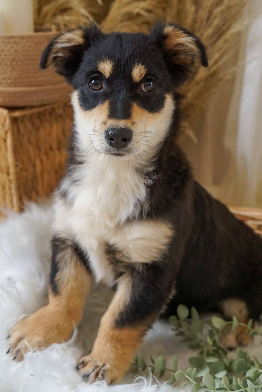 Кай шукає родину