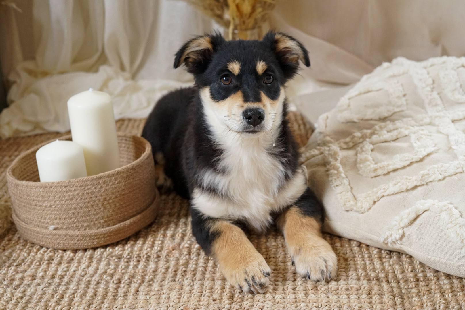 Кай шукає родину