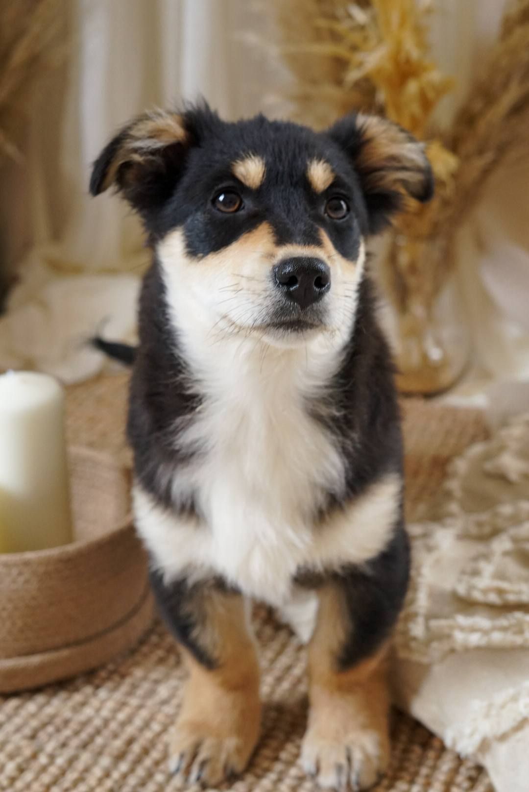 Кай шукає родину