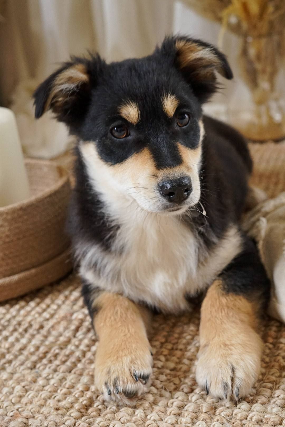 Кай шукає родину