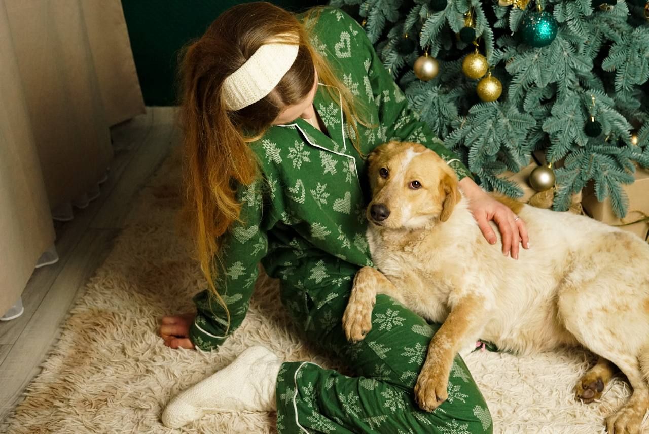 Зара шукає родину