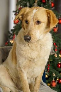 Зара шукає родину