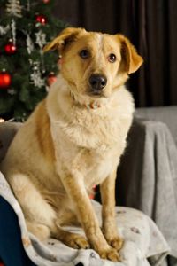 Зара шукає родину