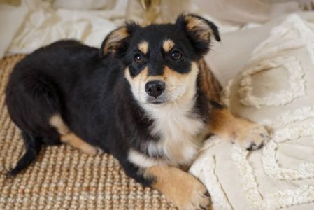 Кай шукає родину