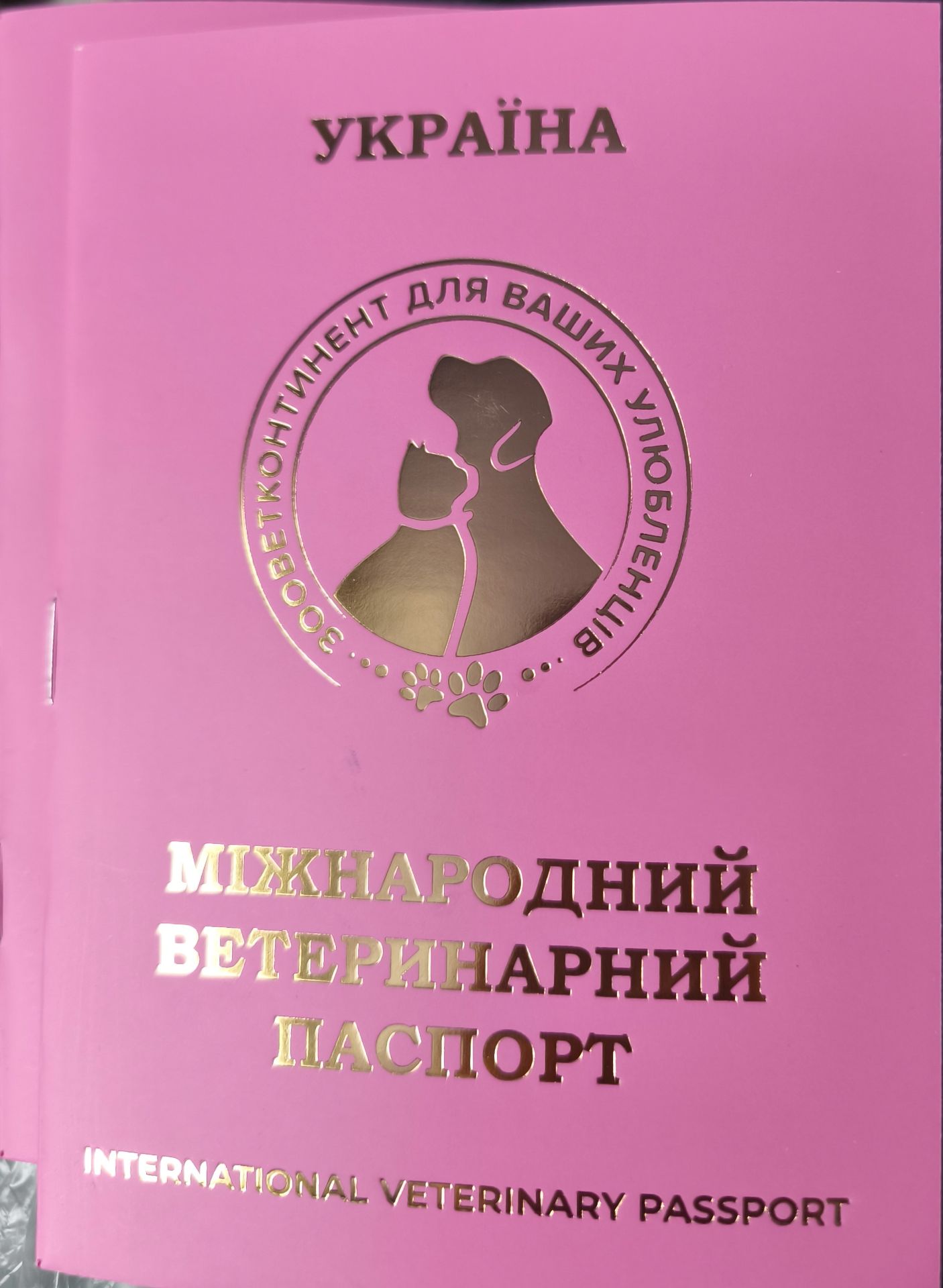 Очаровательные девчушки йоркширского терьера ищут дом! 🎀