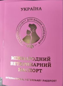 Очаровательные девчушки йоркширского терьера ищут дом! 🎀