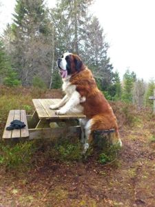 На вязку дівчина