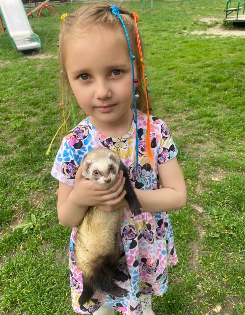 Тхорик Чуча, самиця