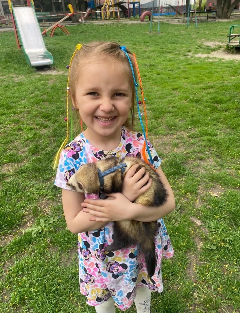 Тхорик Чуча, самиця