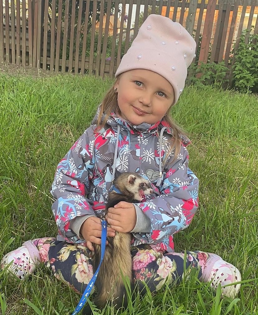 Тхорик Чуча, самиця