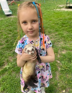 Тхорик Чуча, самиця