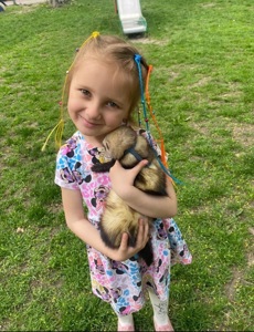 Тхорик Чуча, самиця